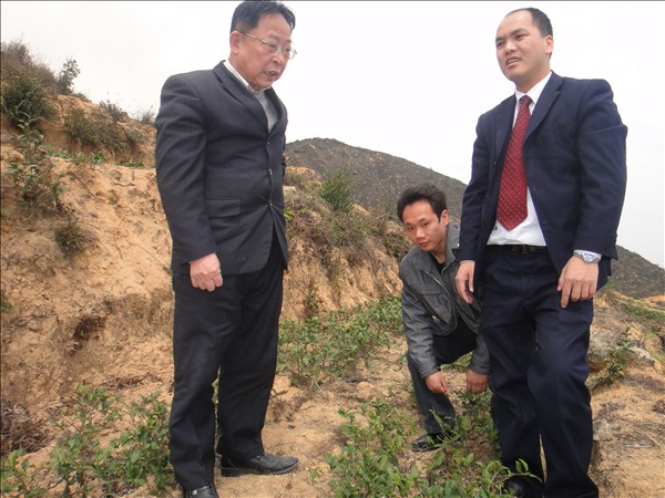 李老及公司高管