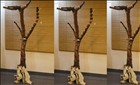 紫檀衣架